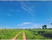 Campo Agrícola/Ganadero en Neuland - 170 Ha.