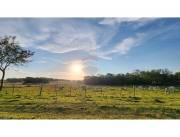 VENDO CAMPO PRODUCTIVO EN CABALLERO PARAGUARI 657 HECTAREAS