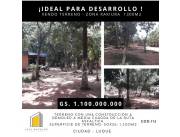 VENDO TERRENO EN LUQUE 1300M2