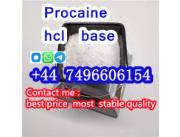 selling Procaine base CAS 59-46-1 /51-05-8 / procaine hcl and base sale Holland