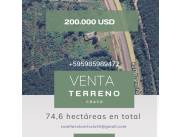 Vendo terreno de 74,6 hectáreas en el chaco