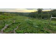 VENTA 7.3 Ha TERRENO CAAGUAZU KM 169 RUTA 2