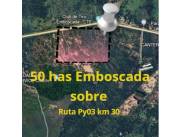 VENDO 50 HAS EMBOSCADA