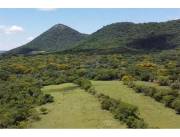 EN VENTA 166 HA SOBRE RUTA CARAPEGUA - ACAHAY