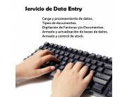 Digitación de datos alpha númerico