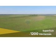 VENDO CAMPO EN ÑEEMBUCU 1.200 HECTAREAS