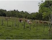 Campo Agrícola/Ganadero en San Cosme y Damián - 50 Ha.