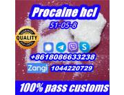 Procaine hcl Procaina hydrochloride 51-05-8 buy Procaine