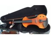 VIOLIN ELECTRICO - Marca Aileen ®