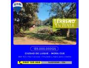 EN VENTA‼️ ✨Terreno en Luque B°Mora Cue✨