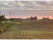 Campo Agrícola Mecanizado en General Artigas - 264 Ha.