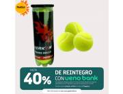 Pelotas de tenis