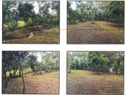 Vendo terreno de 2.222 m2 en San Juan del Paraná, Itapúa - Gs. 555.000.0000