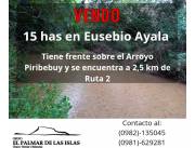 Vendo 15 has en Eusebio Ayala Cordillera con arroyo hermoso lugar!!!!