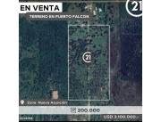 EN VENTA 20 HA SOBRE RUTA 9 CASI CRUCE RUTA 12