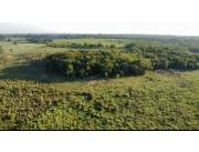 Campo Agrícola/Ganadero en Santani - 760 Ha.