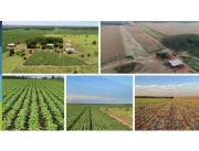Campo Agrícola/Ganadero en Santa Rosa del Aguaray - 736 Ha.
