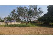 VENDO 4 TERRENOS JUNTOS EN LUQUE LAURELTY