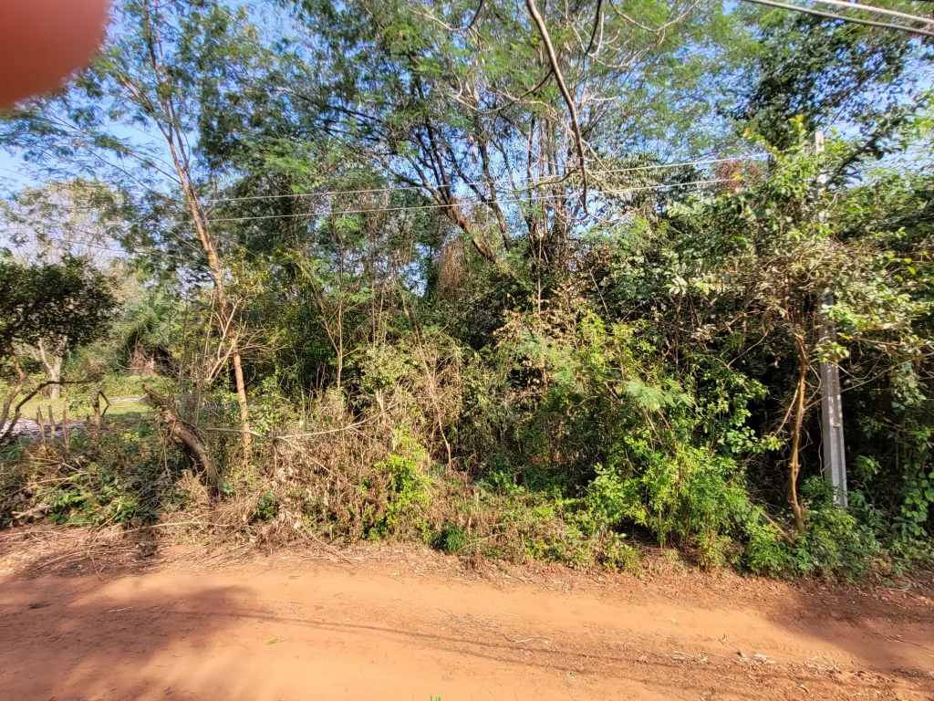 Terreno en Itaugua — foto 3
