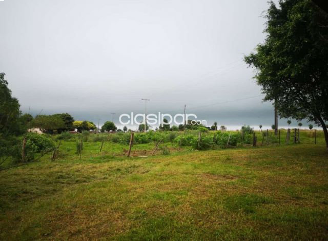 Propiedades rurales - Granja en ybycui de 12,5 hectareas