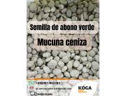 Ventas de mucuna ceniza (mucuna cinza?