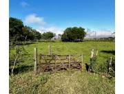 Campo Agrícola/Ganadero en Arroyos y Esteros - 50 Ha.