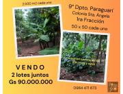 Vendo 2 terrenos juntos en Yvy Ku´i - Paraguarí