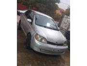 Toyota Platz 2001 jb