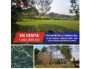 EN VENTA PROPIEDAD EN ITACURUBI DE LA CORDILLERA CON ARROYO - 55 Hectáreas