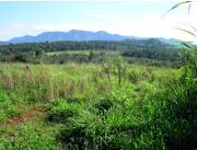 Terreno Rural en Jose Fassardi - 20 Ha.