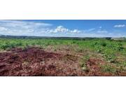 Campo Agrícola/Ganadero Mecanizado en San Rafael del Paraná - 40 Ha.