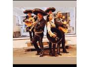 Mariachi Guanajuato