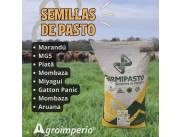 Vendo Semillas de Pasto