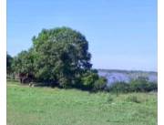 Campo Ganadero en San Pedro costas al Río Paraguay - 845 Ha.