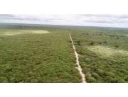 Campo Ganadero en Ávalos Sanchez - 4000 Ha.