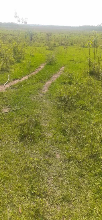 VENDO PROPIEDAD EN SAN JOSE DE LOS ARROYOS — foto 2