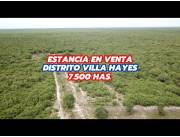 Terreno - Venta - Paraguay Presidente Hayes Villa Hayes