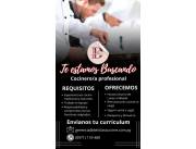 Cocinero/a profesional