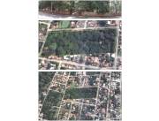 Vendo propiedad de 2,8 has en San Lorenzo zona Lote Guazu