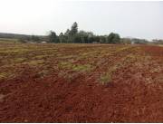 Terreno Agrícola Mecanizado en Cambyreta - 10 Ha.