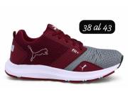 Champion Puma del 34 al 39