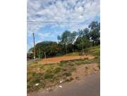 VENDO DOS TERRENOS EN FERNANDO DE LA MORA – ZONA SUR