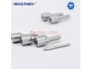 Common Rail Fuel Injector Nozzle L233PBC