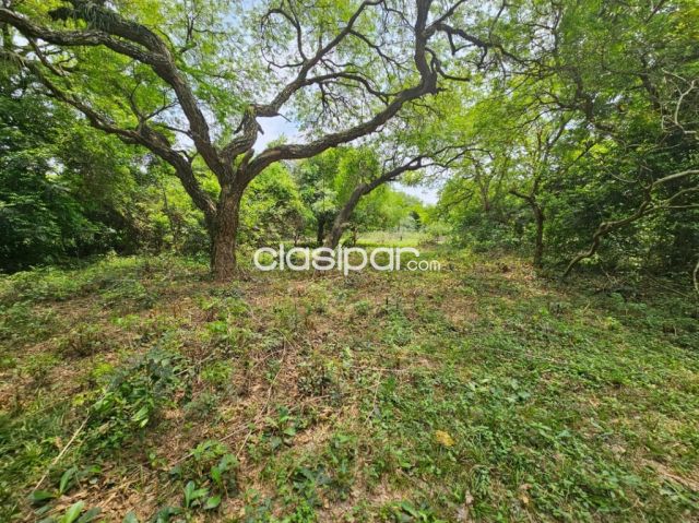 Terrenos - 🌳VENDO TERRENO EN PIRAYÚ ZONA TAVAI 12 x 30