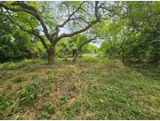 🌳VENDO TERRENO EN PIRAYÚ ZONA TAVAI 12 x 30