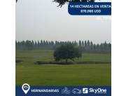 EN VENTA 14 HECTAREAS EN HERNANDARIAS