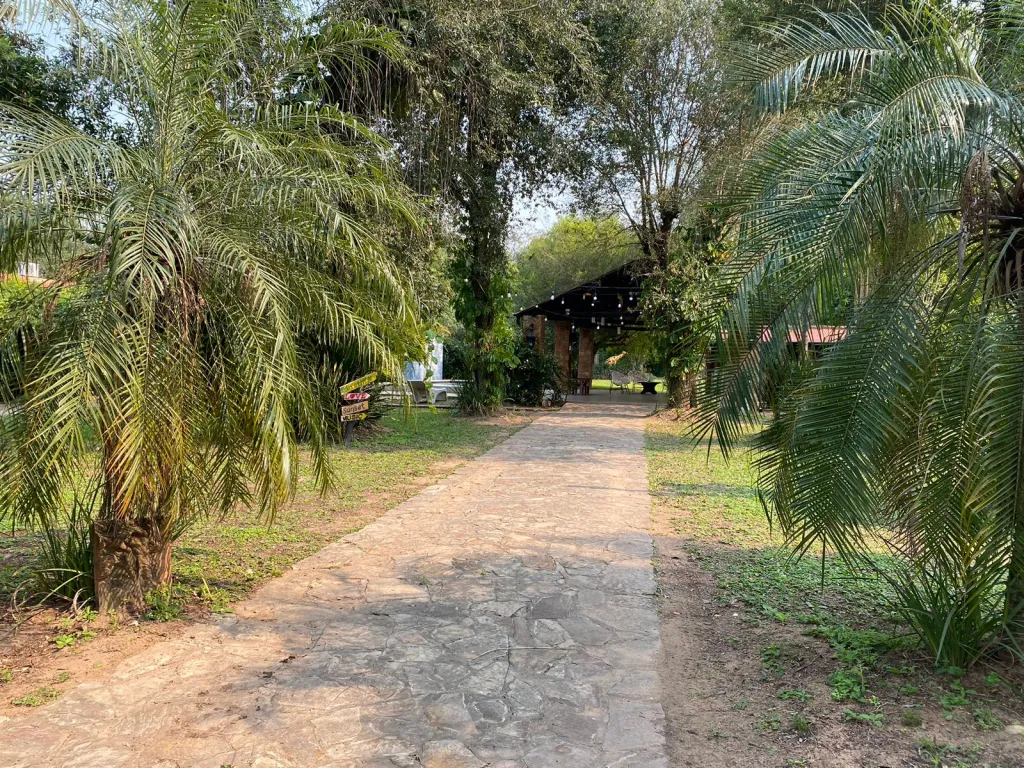 Alquilo casa quinta para pasar el día u hospedaje a metros del lago ypacarai — foto 2
