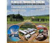 VENDO PLANTA DE PRODUCCIÓN PORCINA