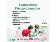 Psicopedagogía