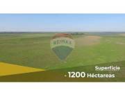 VENDO ESTANCIA DE 1200 HAS EN EL DISTRITO LAS TACUARAS-ÑEEMBUCU